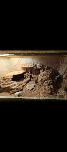 Custom terrarium builds - builds, for
