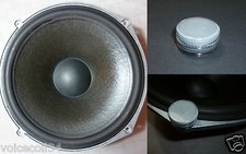 Paint renovation for ROLA Celestion T2619 Woofer - and medium Ditton 25, 44, 66