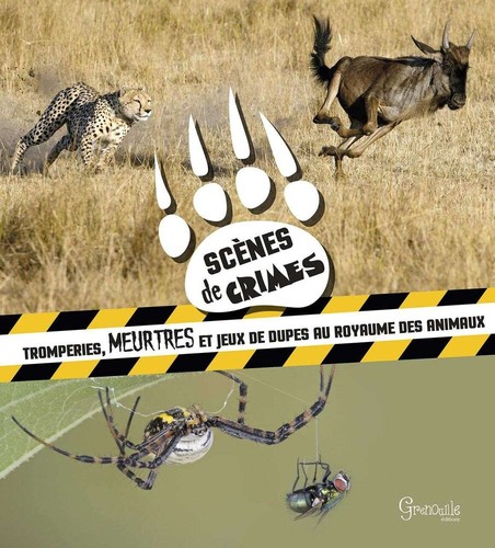 500120531 scènes crimes - 500120531|scènes,