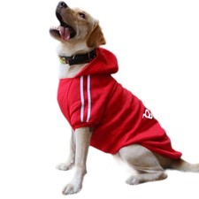 Sweat capuche grand - grand, chaud