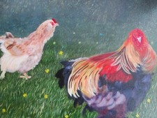 TABLEAU un coq une poule dans la rosée