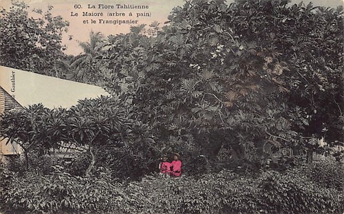 Polynésie la flore - -,