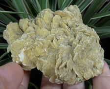 Rose des Sables Gypse Gargas