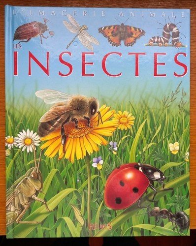 Les insectes imagerie animale