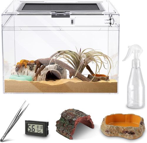 Reptile polycarbonate - reptile,