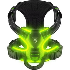 Harnais Lumineux LED Pour