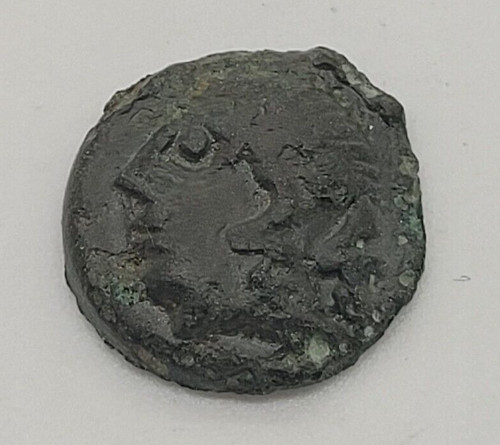 Carnutes bronze cheval et - carnutes,
