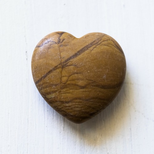 Coeur bois fossilisé - coeur, ou
