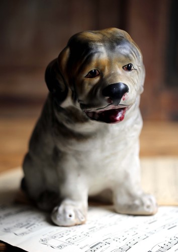 Saint bernard puppy dog - dog, statue