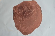 HANS ERNI Matrice originale gravure Mère et enfant (53021)