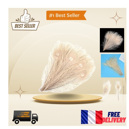 Plumes paon naturelles - plumes,