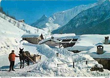 Animaux - Chevaux - L'Hiver