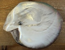 Grand Coquillage Vide Poche En