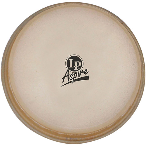 Aspire conga head - lp,