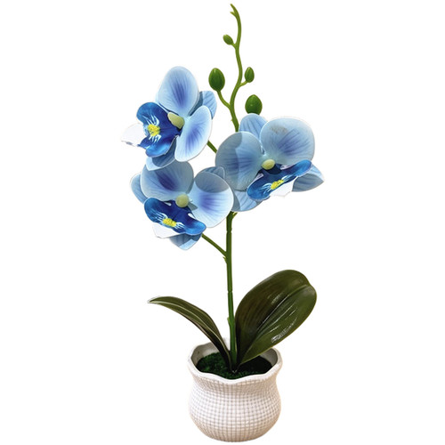 Fausse plante orchidée - plante, d'orchidée