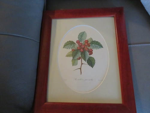 Cadre reproduction gravure - cadre,