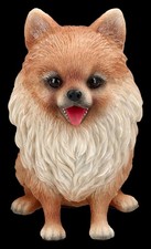 Chien Figurine - Spitz Nain – Poméranie Chiot Déco – Cadeau Eleveur - H 14,5 CM