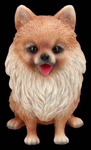 Chien figurine spitz nain - -,