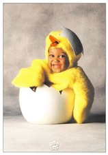 Carte postale Tom Arma BÉBÉ format cpm (poussin)