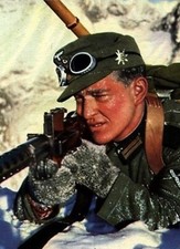 Insigne Allemand Edelweiss