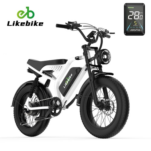Fat tire electric bike for - fat,