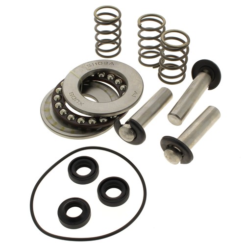 Kit pistons joints - pistons,
