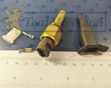 Thermocontact temporisé v2