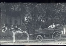 ATTELAGE D ANE CP PHOTO CP 220 ETC A SITUER