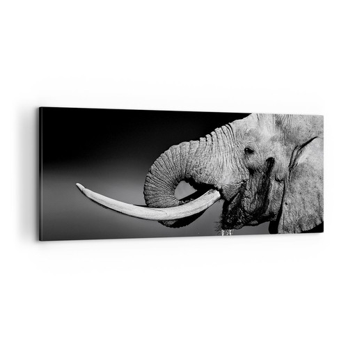 Impression sur toile 100x40cm - sur,