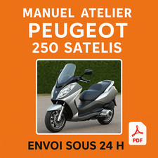 Manuel Atelier Peugeot 250