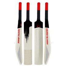 Batte de cricket en plastique