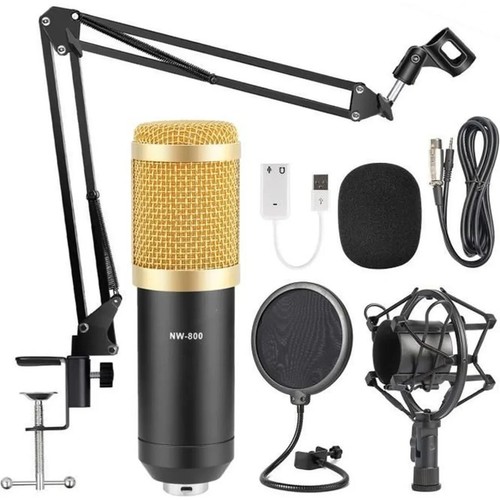Microphone condensateur - microphone,