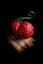 ope ope no mi law fruit du