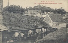 78 - CPA Chevreuse (Yvelines) Le Lavoir au bord de l'Yvette / Superbe