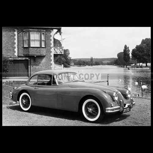 Photo 017460 jaguar 150 - jaguar,