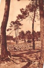 ILE D'OLERON - "Maison