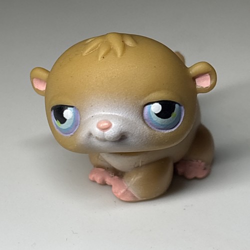 Hamster authentic - -,