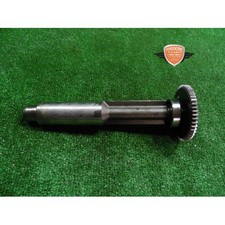 Contre l’arbre Triumph