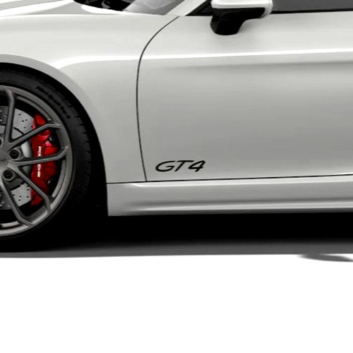 Porsche gt4 car door - gt4, 2x