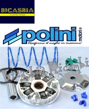 8269 Variateur Polini MBK
