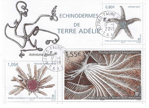 Taaf 865 oblitéré - n°, f