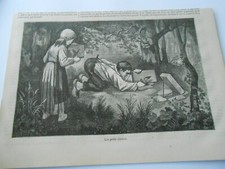 Gravure 1876  - Les petits oiseaux et les enfants le piège
