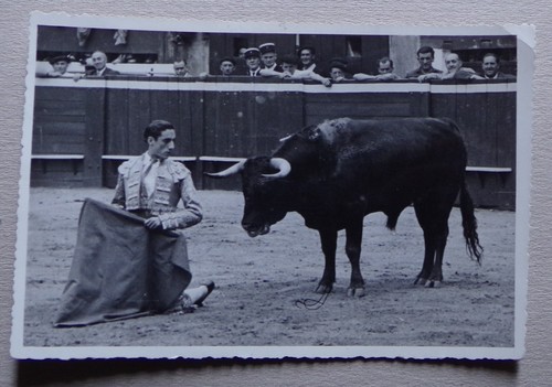 Th336 cpsm corrida toros y - th336),