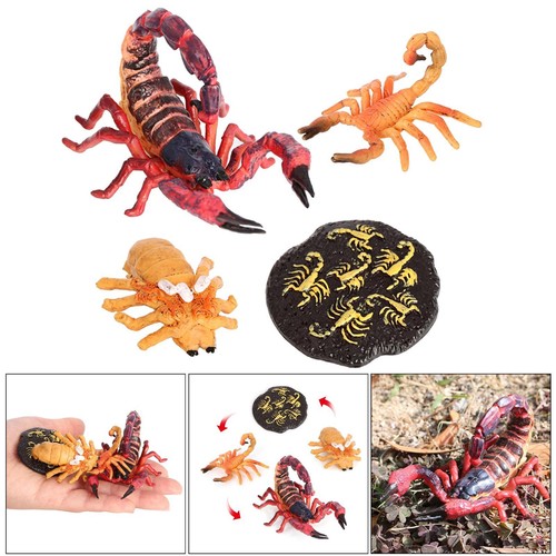 Rouge plastique insectes - rouge,