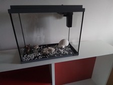 aquarium 15 litres, L 34,5 × l  17,5 × H 28, verre, couvercle gris