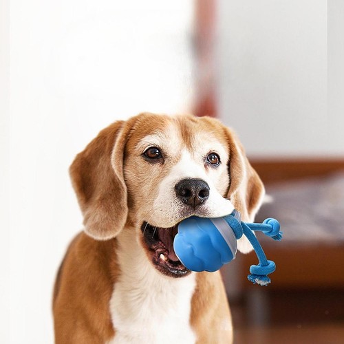 Les jouets pour - jouets,