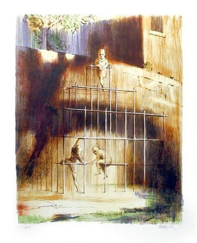 Inconnu artist jungle gym - jungle,