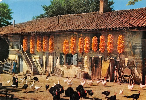 71-FERME