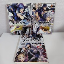 Fire Emblem Awakening /