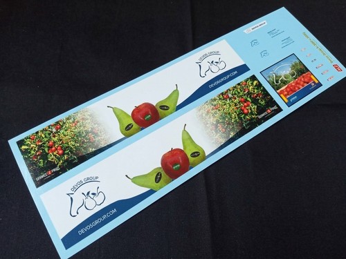 Decals 43 - (pre-vente),